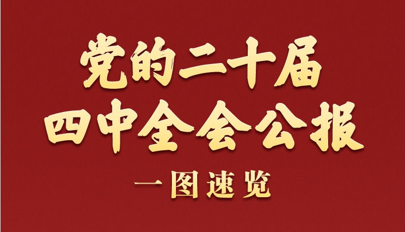 学习新语丨党的二十届四中全会公报一图速览