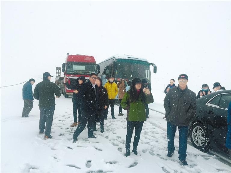 yangnl76311_s.jpg