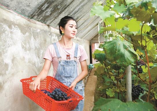 QQ截图20181016103421.jpg