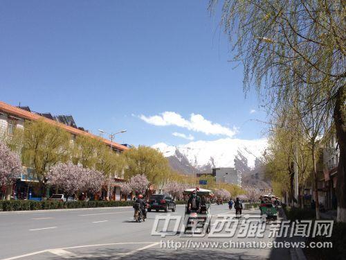 拉萨街景  彭月圆 摄