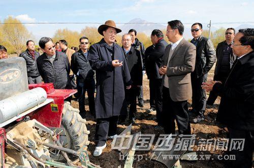 4月14日，区党委副书记、自治区主席洛桑江村在山南地区贡嘎、扎囊、乃东调研。这是洛桑江村在扎囊县扎塘镇羊嘎居委会了解优质青稞推广种植情况。记者 旦增 摄