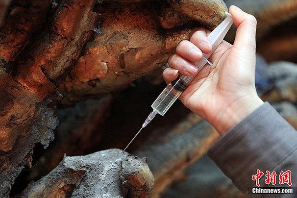工作人员正对风化疏松部位进行“打针”，起到固化岩体的作用。