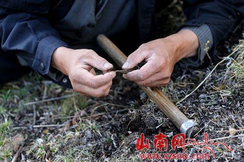 寻宝人3