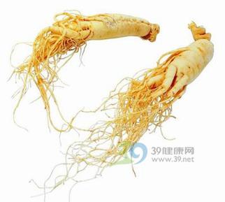 中药多瑰宝 纵横话“三参”
