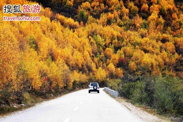 图片来源：姚海全 （搜狐博客）