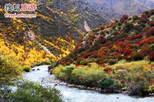图片来源：姚海全 （搜狐博客）
