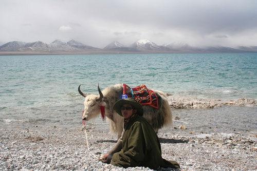 向往的圣地 在最好的时节去西藏旅游