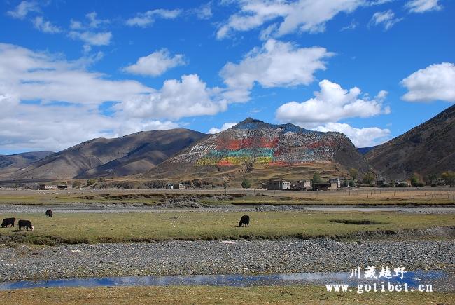 新都桥美景
