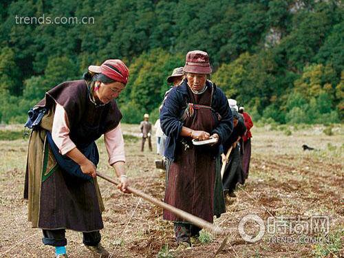 巴松错繁花盛放 揭秘西藏的江南
