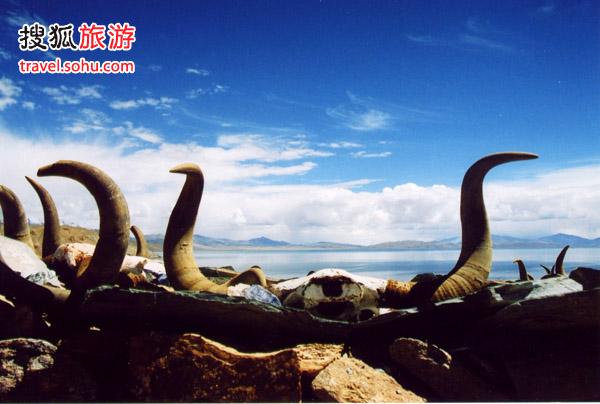 在阿里苦中作乐
