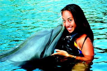 在夏威夷卡哈拉酒店和海豚一起游泳