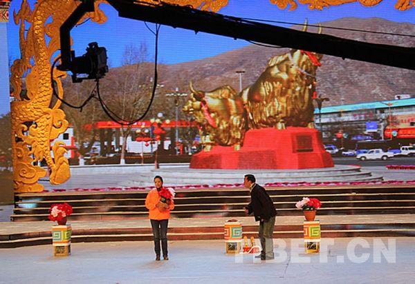 拉萨市举办2012藏历水龙新年联欢晚会
