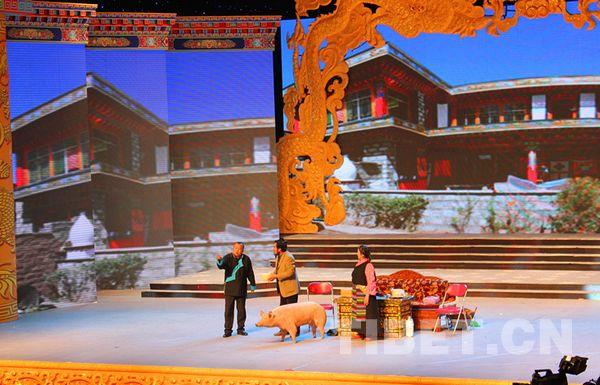 拉萨市举办2012藏历水龙新年联欢晚会