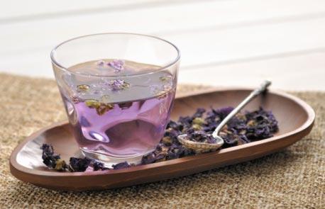 紫色花茶
