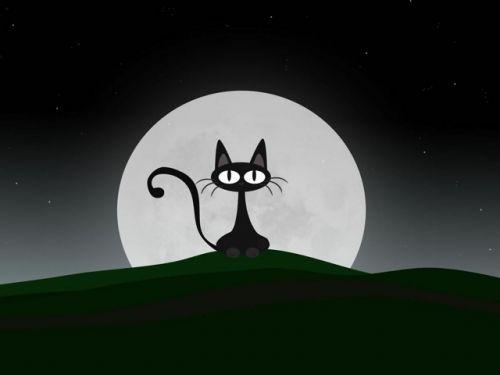 夜猫--壁纸
