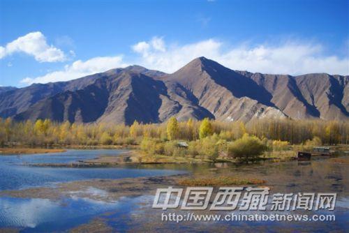 达孜境内318国道沿线秋色