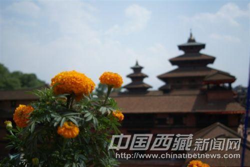 帕坦古城  彭月圆 摄