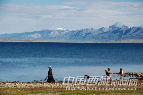 畅游在玛旁雍措湖边。