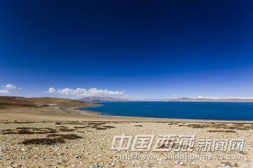 玛旁雍措湖畔。 记者 郭祚彬 摄