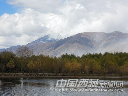 小树林和群山衬托了池塘的美丽。