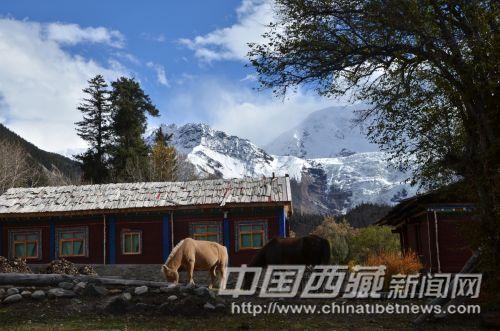 波密风光