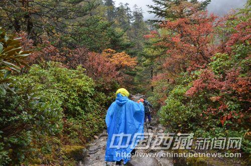 想见到最美、最原生态的墨脱，只能靠我们的双脚去丈量。