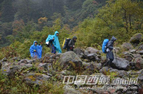 穿行在茂密的原始森林中，队员们都十分小心，生怕和蚂蟥来次“亲密接触。”