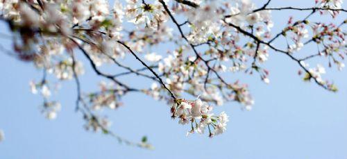 20140329a2001