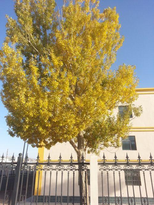 20131002_183002