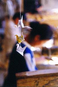 Img224694081