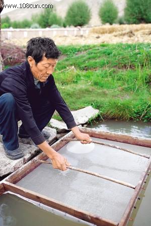 用狼毒草根打浆制做藏纸。