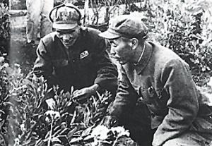 谭冠三（右）在“八一农场”观察作物生长情况。