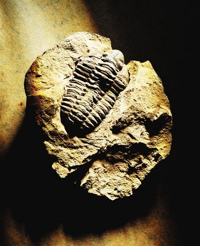 30.5