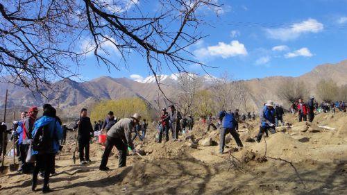 3月29日，援藏干部在拉萨市堆龙德庆县羊达乡通嘎村义务植树。