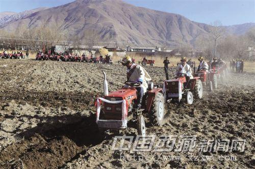 拉萨市城关区蔡公堂乡白定村村民在开耕仪式开始时向天空抛撒糌粑，祈愿丰收。记者 次旺 摄
