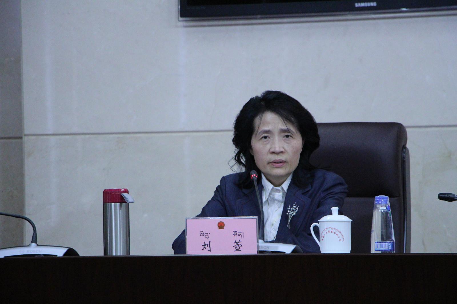 西藏自治区政府副秘书长、政府新闻发言人 刘萱.JPG