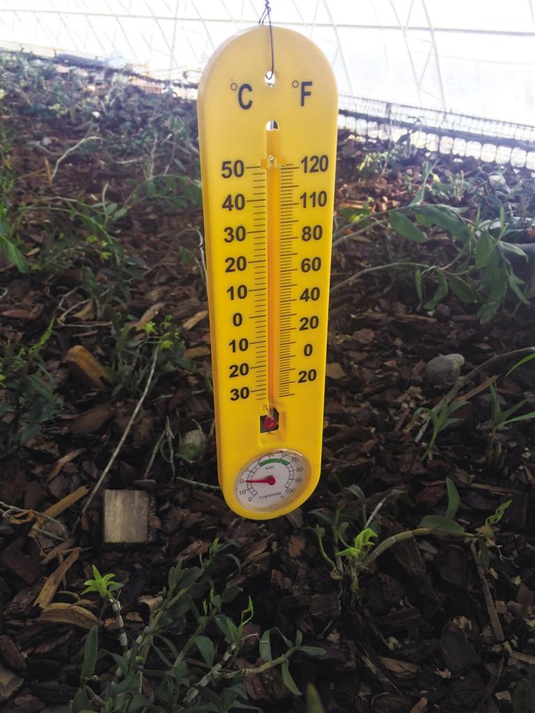 wanghr621469_s.jpg