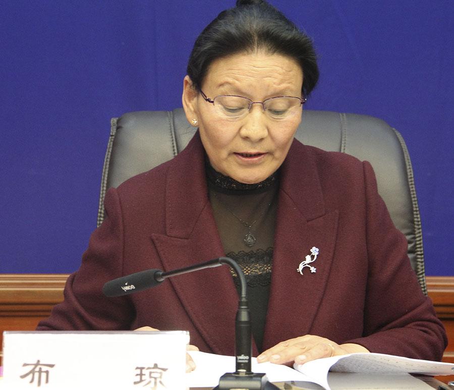 布琼 区国土资源厅副厅长.jpg