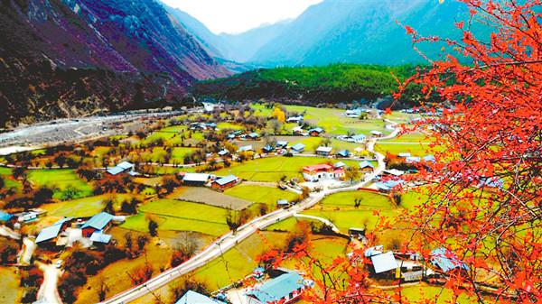 yangnl7a395_s.jpg