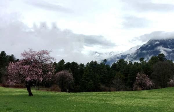 岗巴村的早晨.jpg