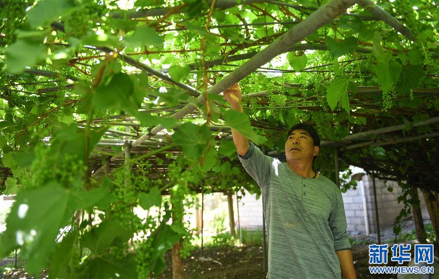ï¼å¾æäºå¨ï¼ï¼6ï¼èµ°è¿è¥¿èçº¢éä¹ä¹¡èåº·å¿çº³è¥¿æ°æä¹¡