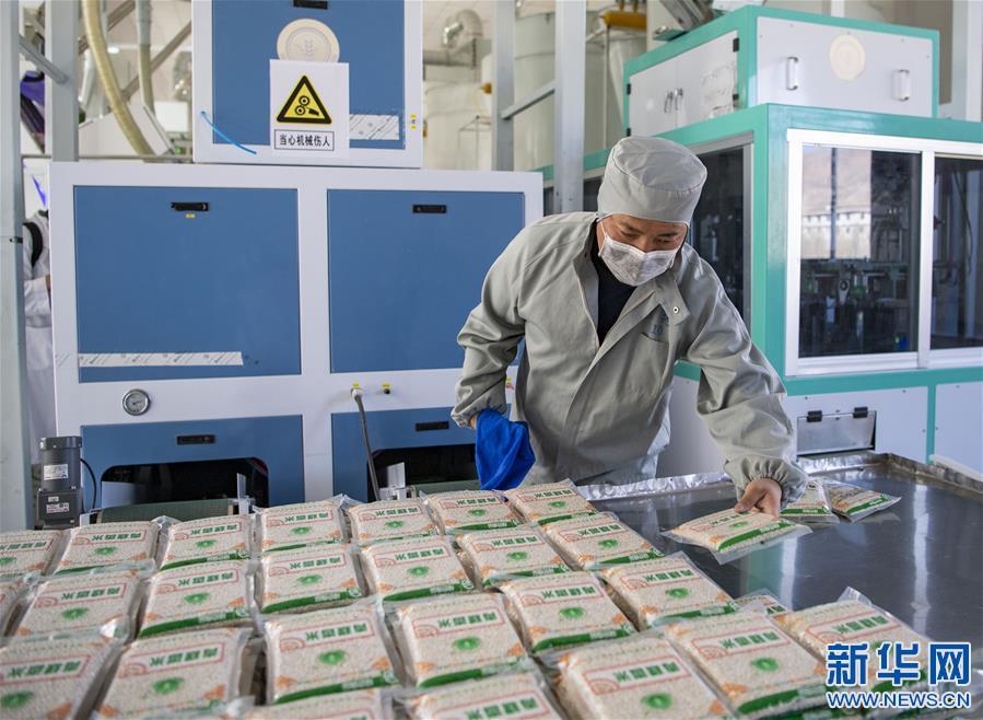 （新华视界）（2）拉萨：企业有序复工复产