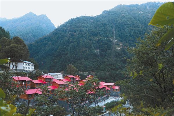 yangnl078_s.jpg