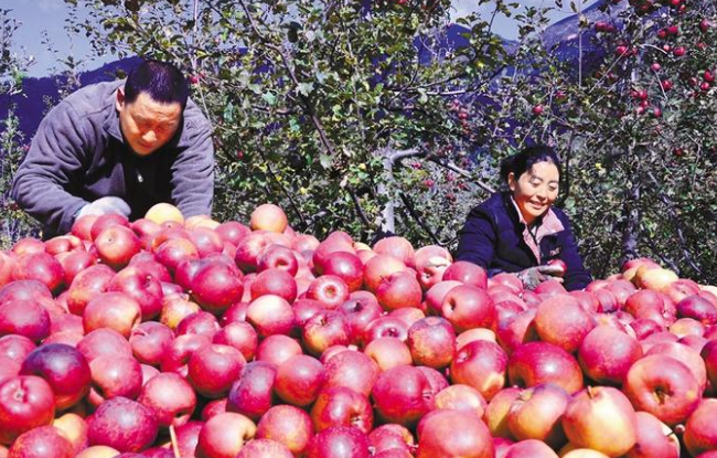 QQ截图20201214161121.png