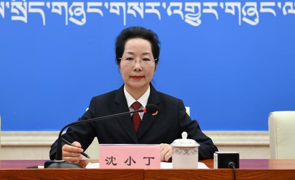 沈小丁 区检院检察委员会专职委员、二级高级检察官、新闻发言人..JPG
