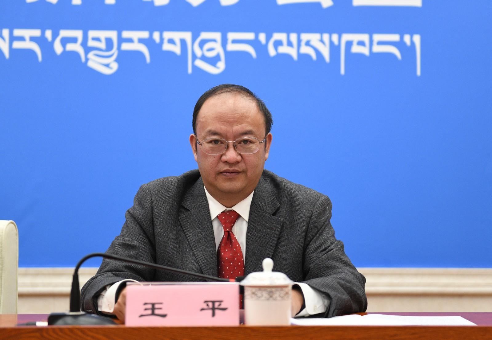 新闻发言人：西藏自治区统计局综合处处长 王平.JPG