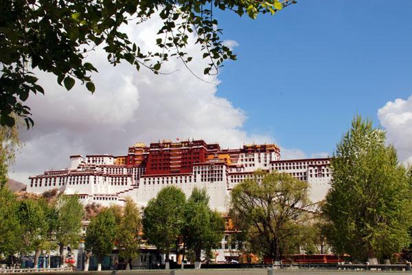 图1：入夏的布达拉宫。丹增平措摄.jpg