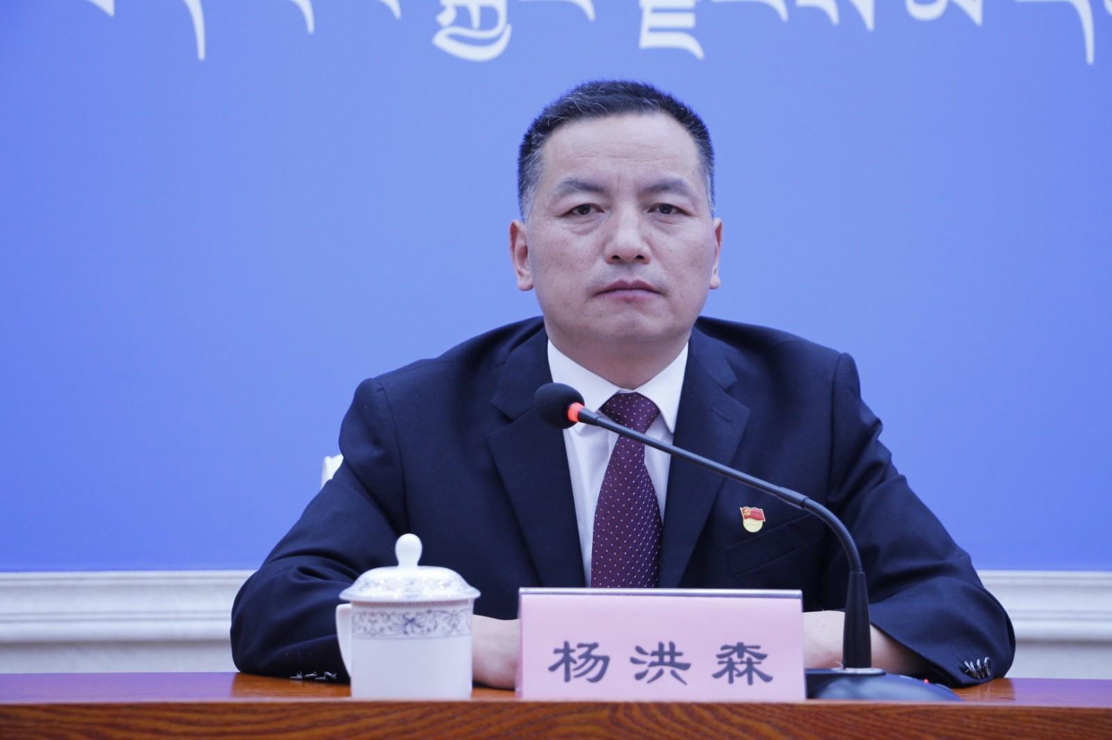 主持人：杨洪森 区党委宣传部对外传播处处长.JPG