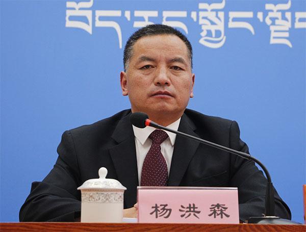 图为主持人：区党委宣传部对外传播处处长 杨洪森.jpg