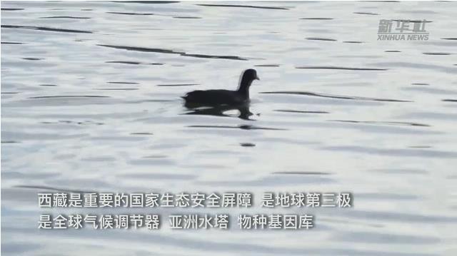 微信截图_20211227100739.jpg